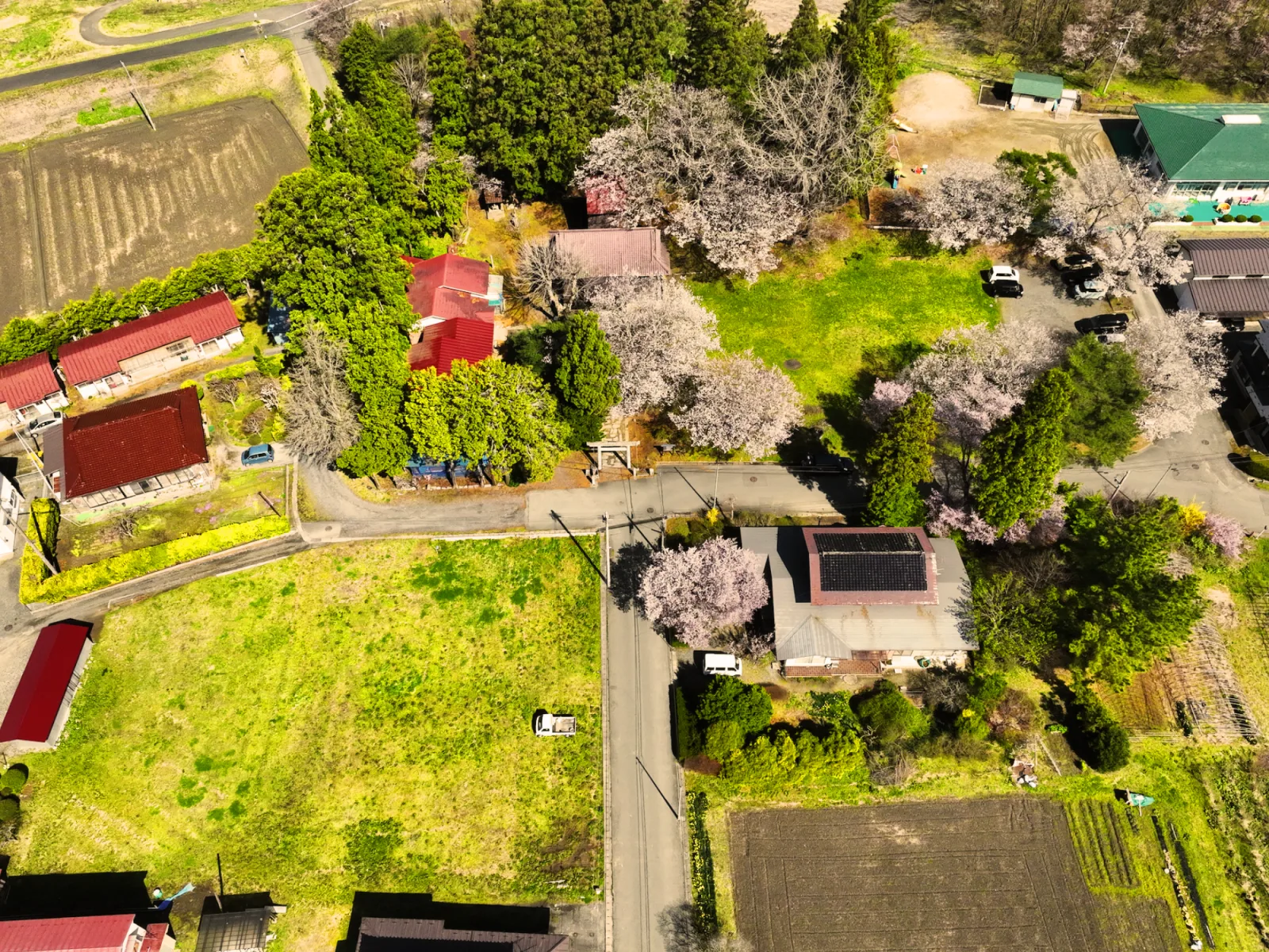 当日は、左下の芝のエリアが駐車場になります