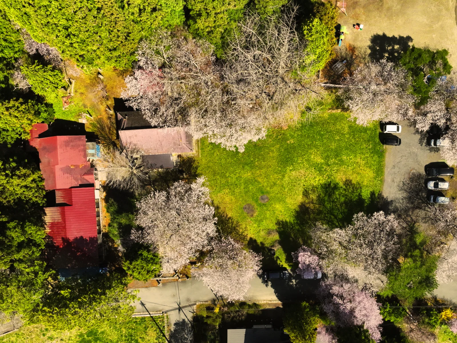 神明神社（伊勢両宮社）と松尾神社の全景その1。背後には大木が