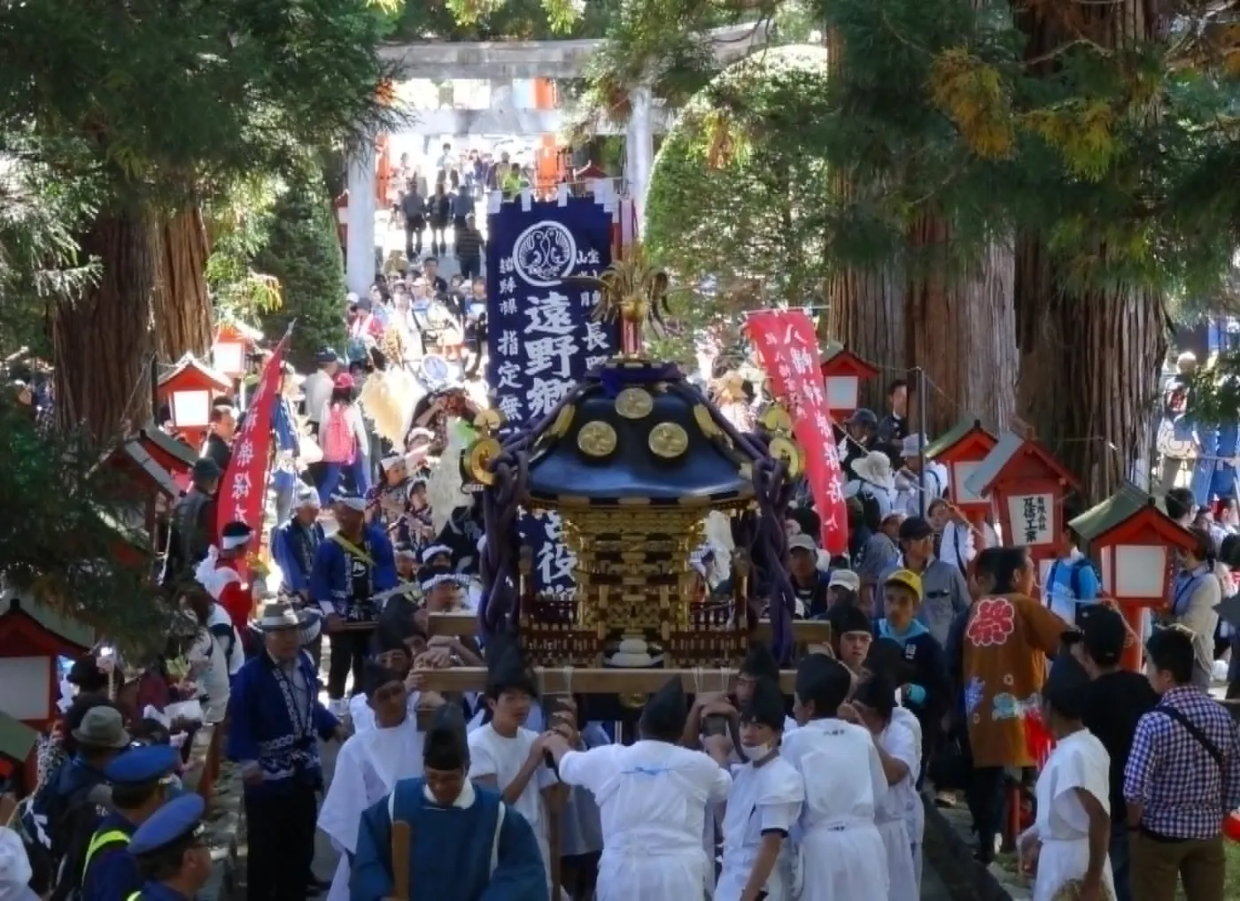 遠野郷八幡宮の参道を進む八幡宮の御輿。杉並木のなか、金色の屋根と紫の鎮の紐をまとった御輿を、白装束の担ぎ手たちが担いでいる。